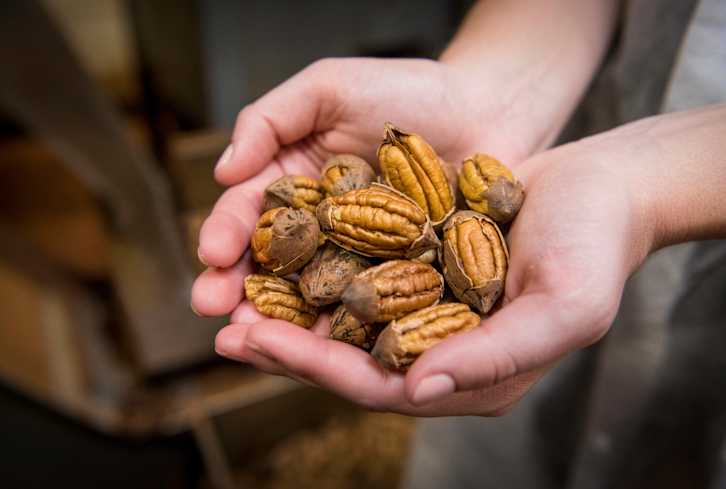 Superfood Spotlight: Pecans Are Having A Moment (Here's Why)