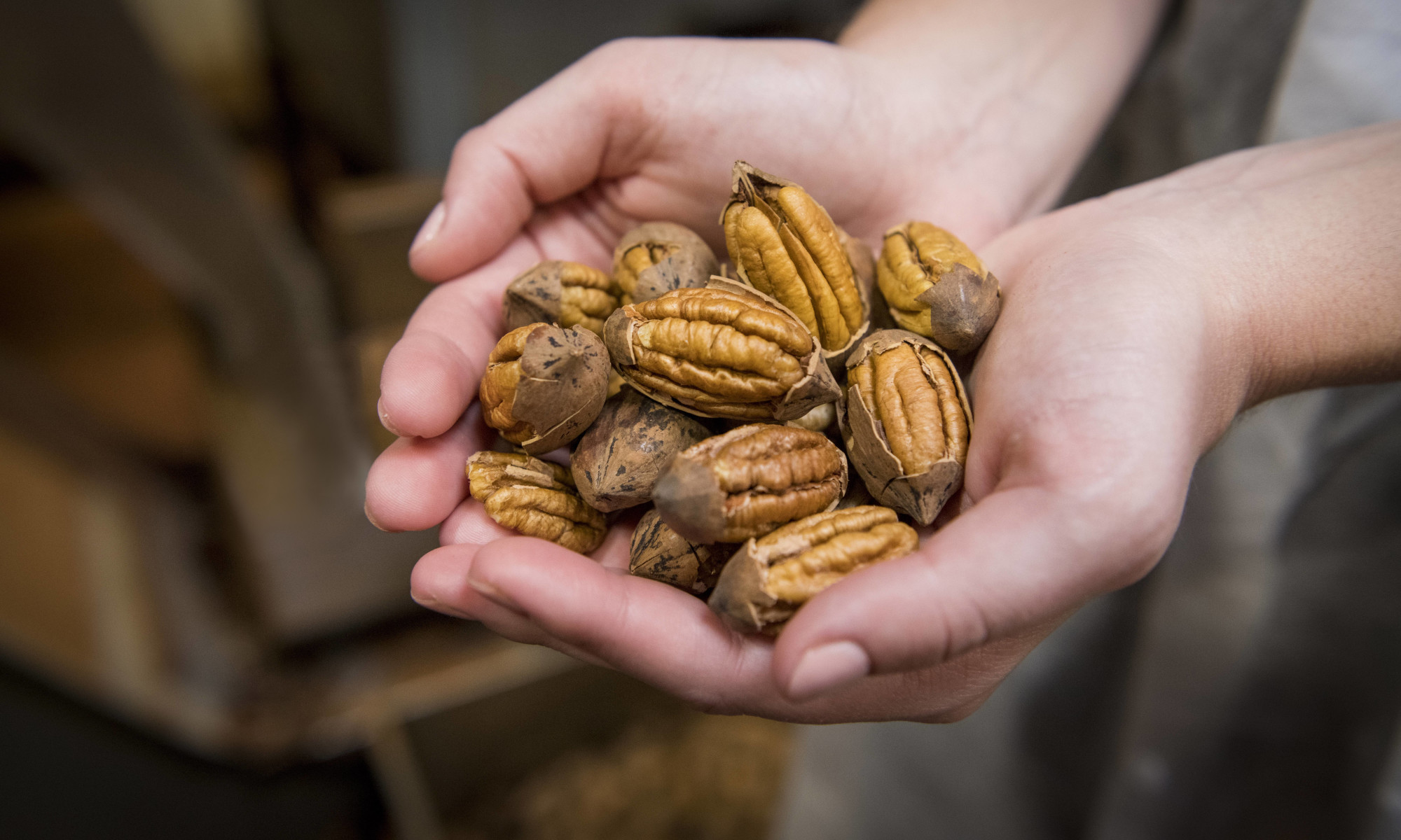 Superfood Spotlight: Pecans Are Having A Moment (Here's Why)
