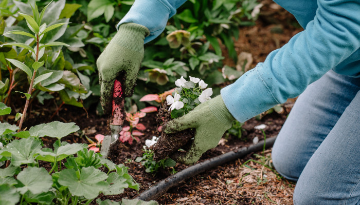 How To Turn Gardening Into A Workout
