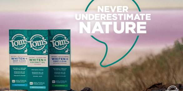 Image of A Holistic Wellness Routine Starts With This Step — Are You Doing It?