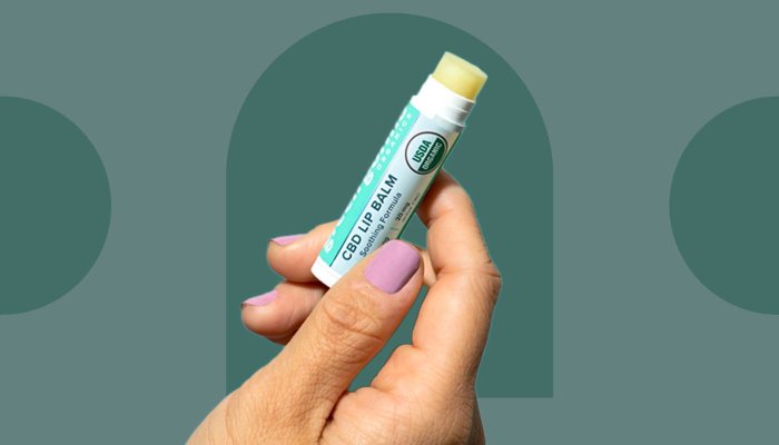 What Ingredients To Look For In A Lip Balm + The Best CBD Lip Balms To Try