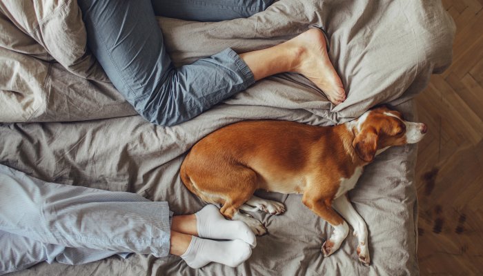 The 7 Best Beds That Are Actually Long Enough For Tall People