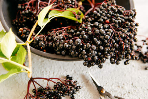 Elderberries