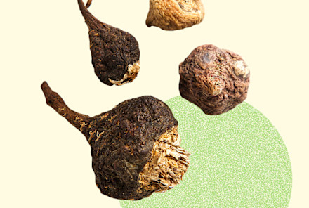 6 Healthy Superfoods You Didn't Know Originated In Latin America