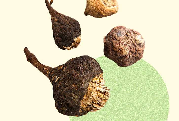6 Healthy Superfoods You Didn't Know Originated In Latin America