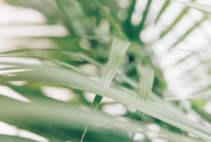 What To Know About The Kapha Dosha: How To Eat, Exercise & Stay Balanced