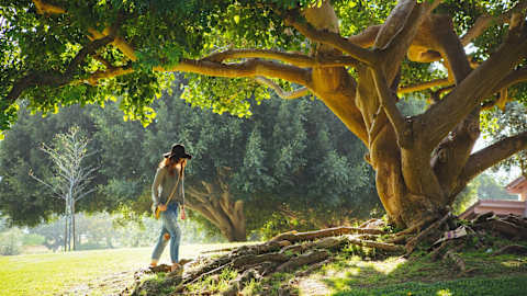 Test image woman and tree