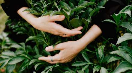 Your Gut Needs More Dirt: The Science Behind The Microbiome & Immune Health