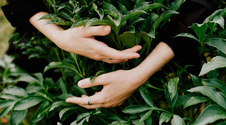 Your Gut Needs More Dirt: The Science Behind The Microbiome & Immune Health