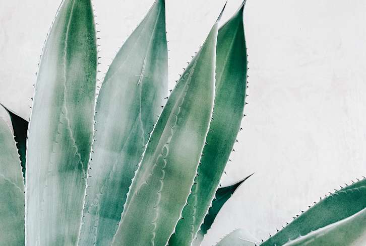 This Juice May Be An Internet Fad, But Don't Drink It, Say MDs