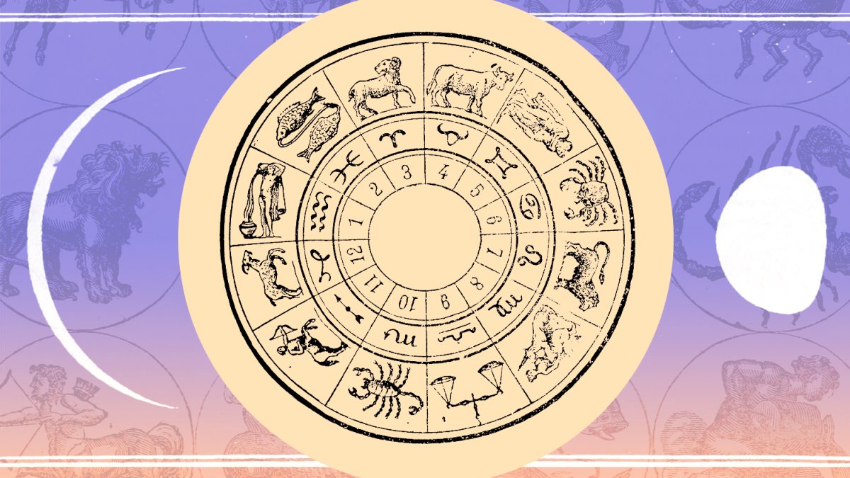 The 12 Houses Of Astrology & What They Mean For You ...