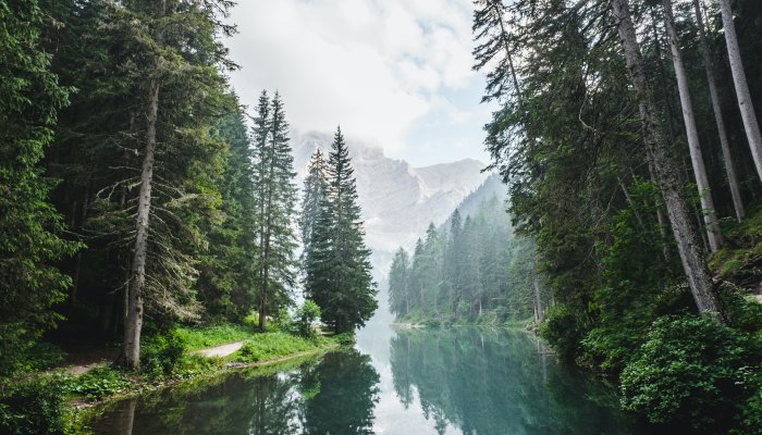 Stuck On A Problem? Here's The Simplest Way To Enhance Your Creativity