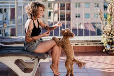 Grab Your Dog's Food & Check For These 3 Things On The Label
