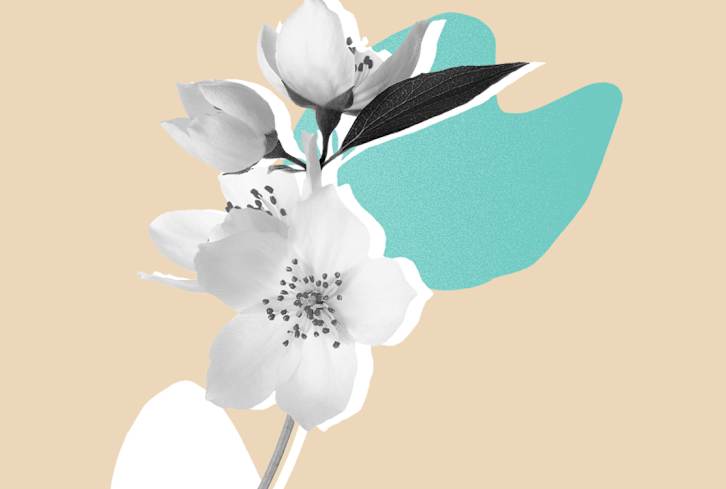 6 Flowers That Will Stay Alive In A Vase For Weeks (Yes, Weeks!)