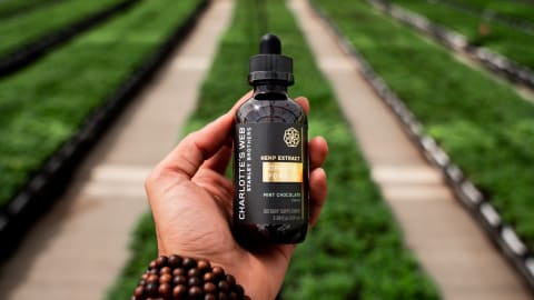 Do You Know Where Your CBD Comes From? Take A Look