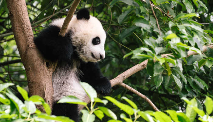 Love Animals? Here's How To Make Sure You're Not Hurting 'Em When You Travel