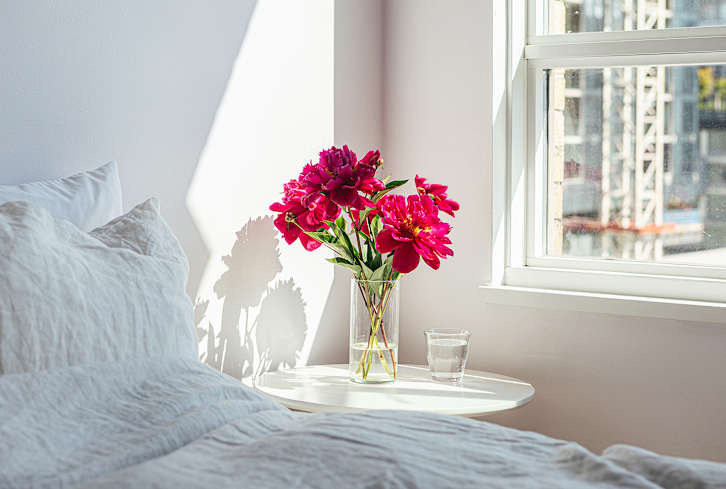 15 Lucky Houseplants According To Feng Shui & Where To Put Them