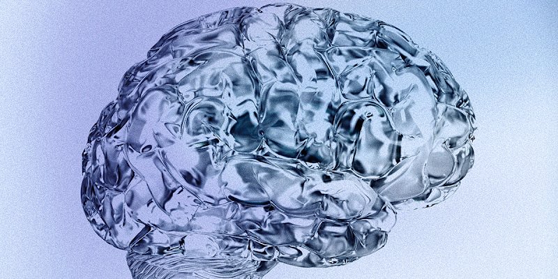 Is Your Brain Actually 2 Organs? These Stanford Scientists Think So