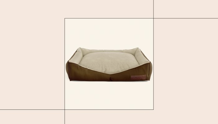 Best Human Dog Beds | mindbodygreen – SKCD