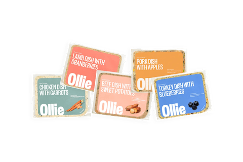 Ollie Pet Food Fresh Meal Delivery