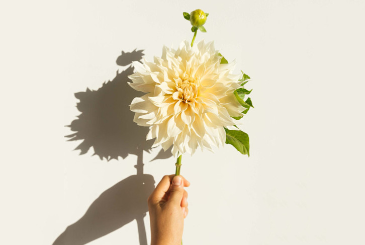 Why Is Death Left Out Of Wellness? Here's How To Have The End-Of-Life Convo