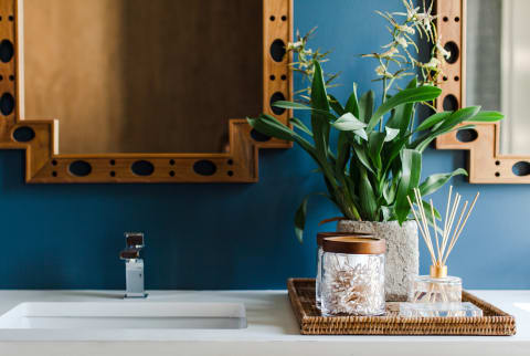 Guide To Plants For The Bathroom