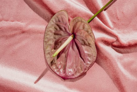 Wait, Your Vagina Can Be Dehydrated? An OB/GYN Shares How To Tell & What To Do