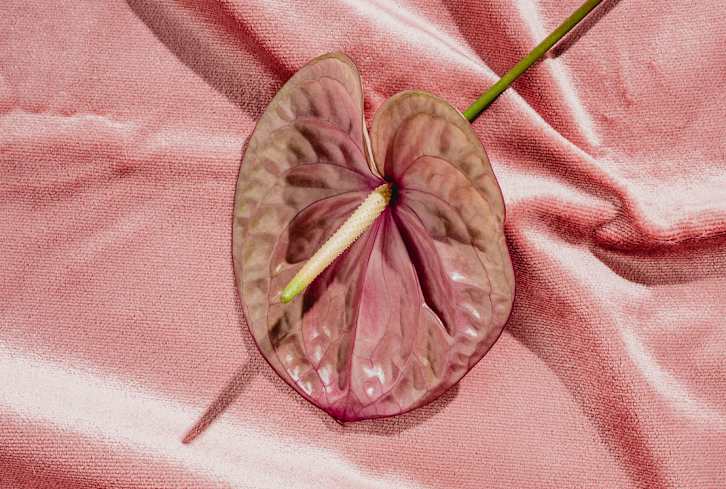 Wait, Your Vagina Can Be Dehydrated? An OB/GYN Shares How To Tell & What To Do