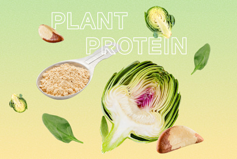collage about plant based protein sources collage about plant based protein sources