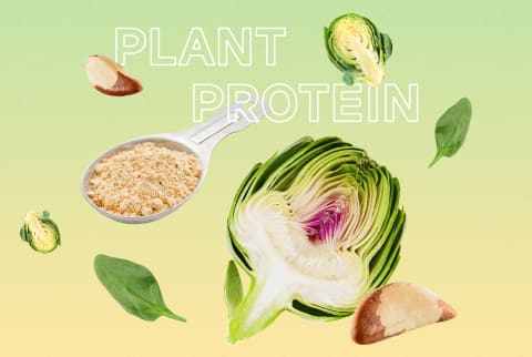 collage about plant based protein sources