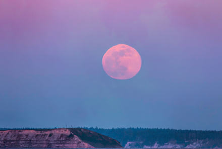 These 3 Zodiac Signs Will Be Most Impacted By April's Pink Moon