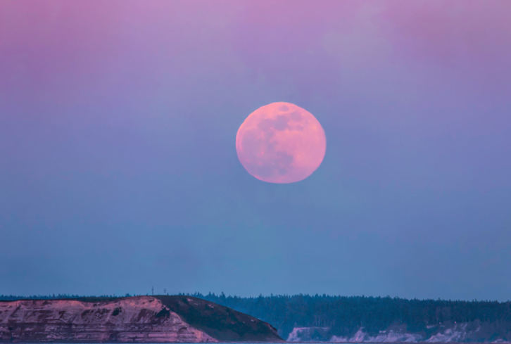 These 3 Zodiac Signs Will Be Most Impacted By April's Pink Moon