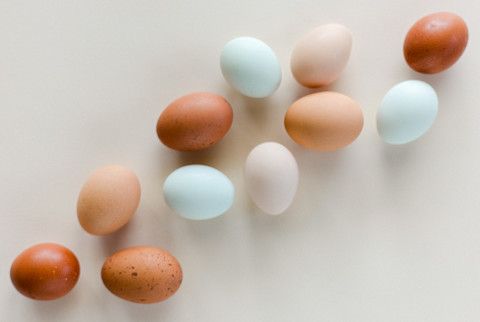colorful eggs sorted by color into an ombre pattern colorful eggs sorted by color into an ombre pattern