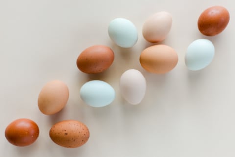 colorful eggs sorted by color into an ombre pattern