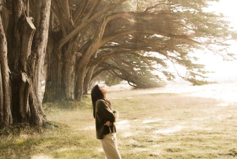 Woman On Meadow Of Cypress Trees Alley In Sunlight