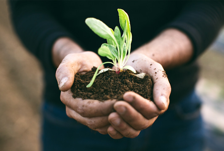 Read article: This "Lazy Gardening" Technique Is Perfect For Planting Newbies