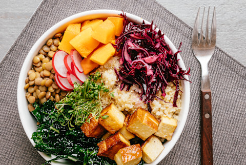 Bowl with healthy vegetabls and tofu. Ingredients: quinoa, lentils, dinosaur kale, smoked tofu, red cabbage, winter squash, radish, cress sprouts Bowl with healthy vegetabls and tofu. Ingredients: quinoa, lentils, dinosaur kale, smoked tofu, red cabbage, winter squash, radish, cress sprouts
