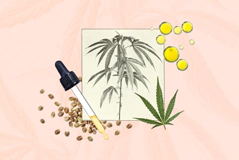 An illustration of the components of CBD oil