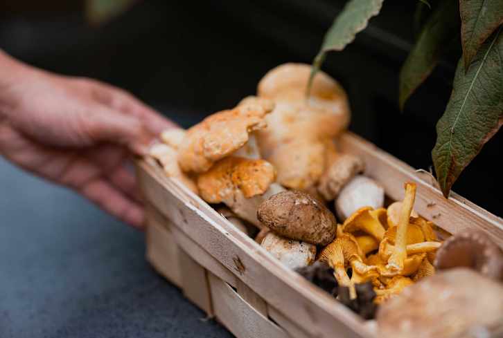 Are Your Mushroom Supplements Helping Your Immune System?