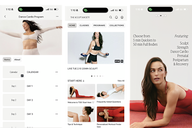 screenshots of the sculpt society