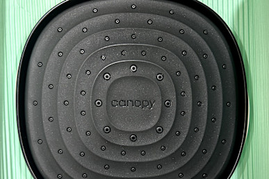 canopy filtered showerhead