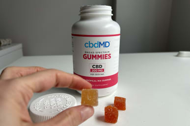 CbdMD Broad-spectrum gummies close up held in hand