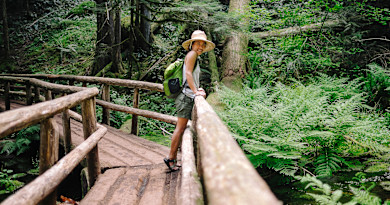 Go to Article "2 New Biomarkers Could Detect Lyme Disease Days Earlier Than Standard Tests"