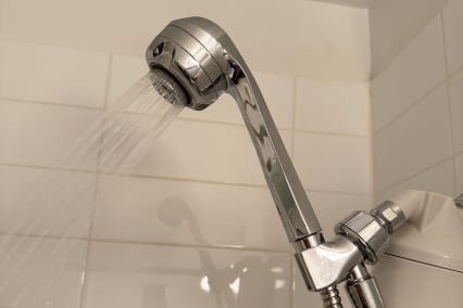 Berkey Shower Filter - with Europe fitting for all showers