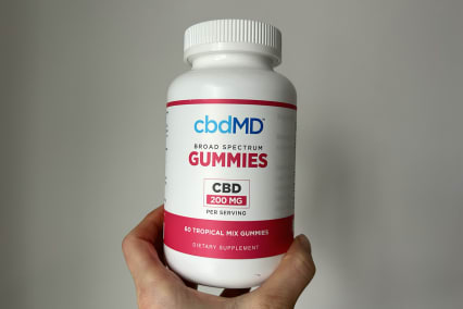 CbdMD Broad-Spectrum Gummies High Potency held in testers hand against white wall