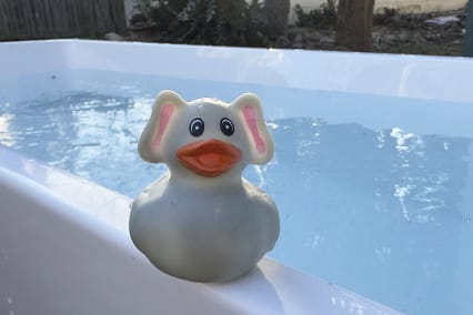 plunge rubber ducky on edge of cold plunge tub with water behind it