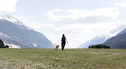 Thinking Of Trying "Fresh Pet Food"? This Brand Takes Healthy To The Next Level