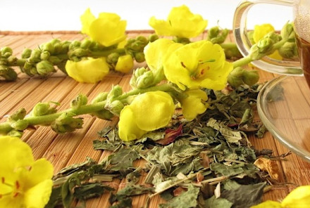Got An Earache? Mullein Oil To The Rescue!