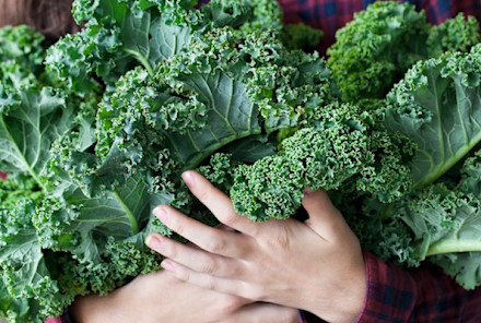 17 Things I Wish Everyone Knew About Kale