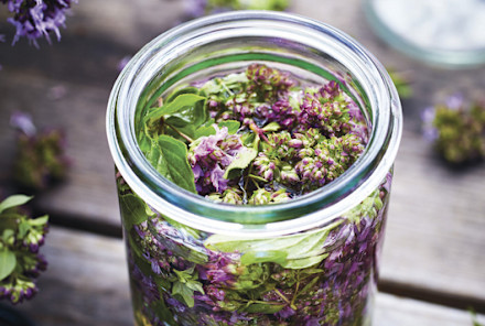 Oregano Flower-Infused Vinegar To Boost Your Immune System